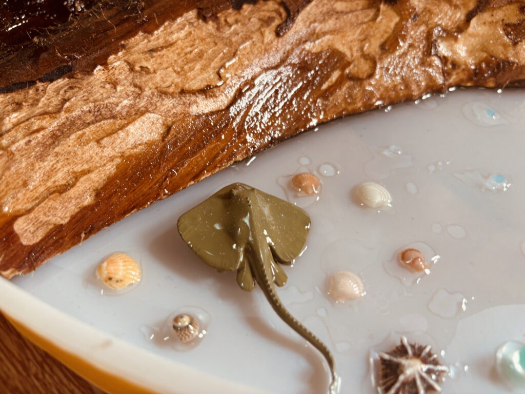 レジンに埋め込まれたエイのフィギュアと小さな貝殻たち