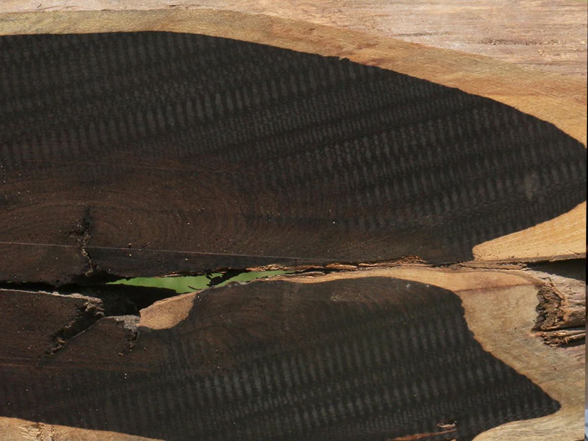 アフリカンブラックウッド｜高級無垢材とレジンテーブル制作の魅力