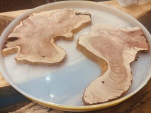 50cmの円形モールドに配置された2枚のカイヅカイブキを使ったレジンテーブル制作工程。透明なレジンで側面を固定している様子。