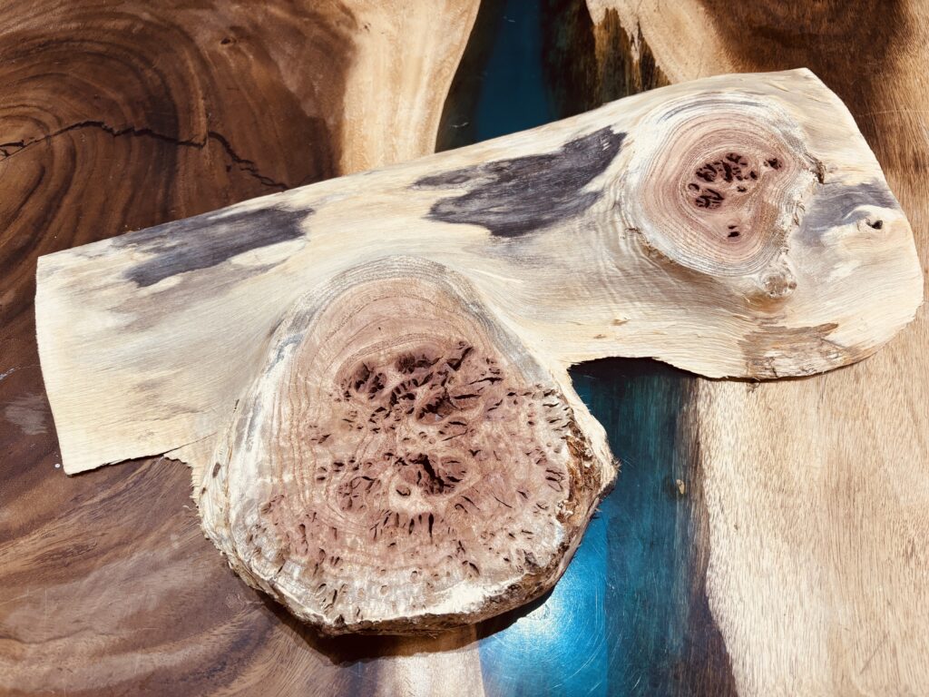 センダン無垢材とレジンの組み合わせを想起させる構図。自然造形を活かしたアート向き素材