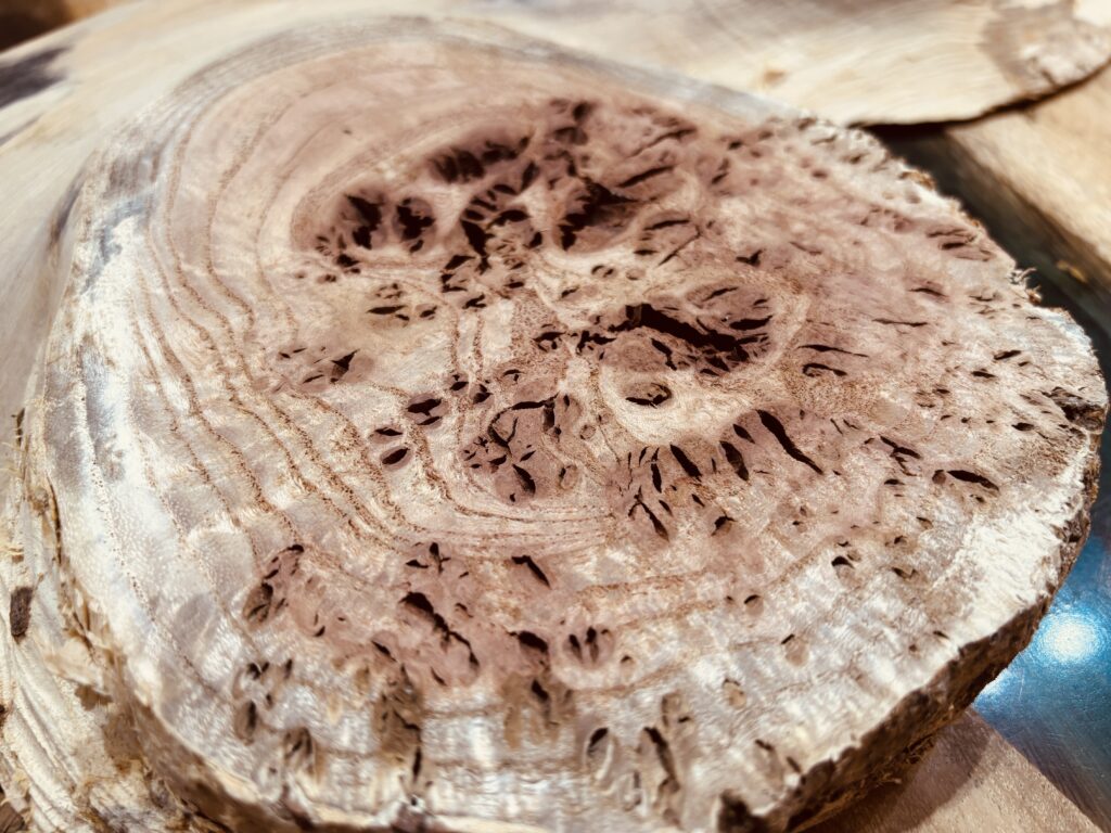 センダンのコブ部分の木口アップ。年輪と入り組んだ導管が生み出す独特の表情