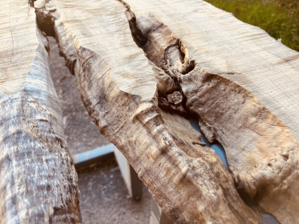 自然な割れと立体的な耳付き形状を持つカエデの無垢板。レジンを流し込むことで個性が際立つ素材。