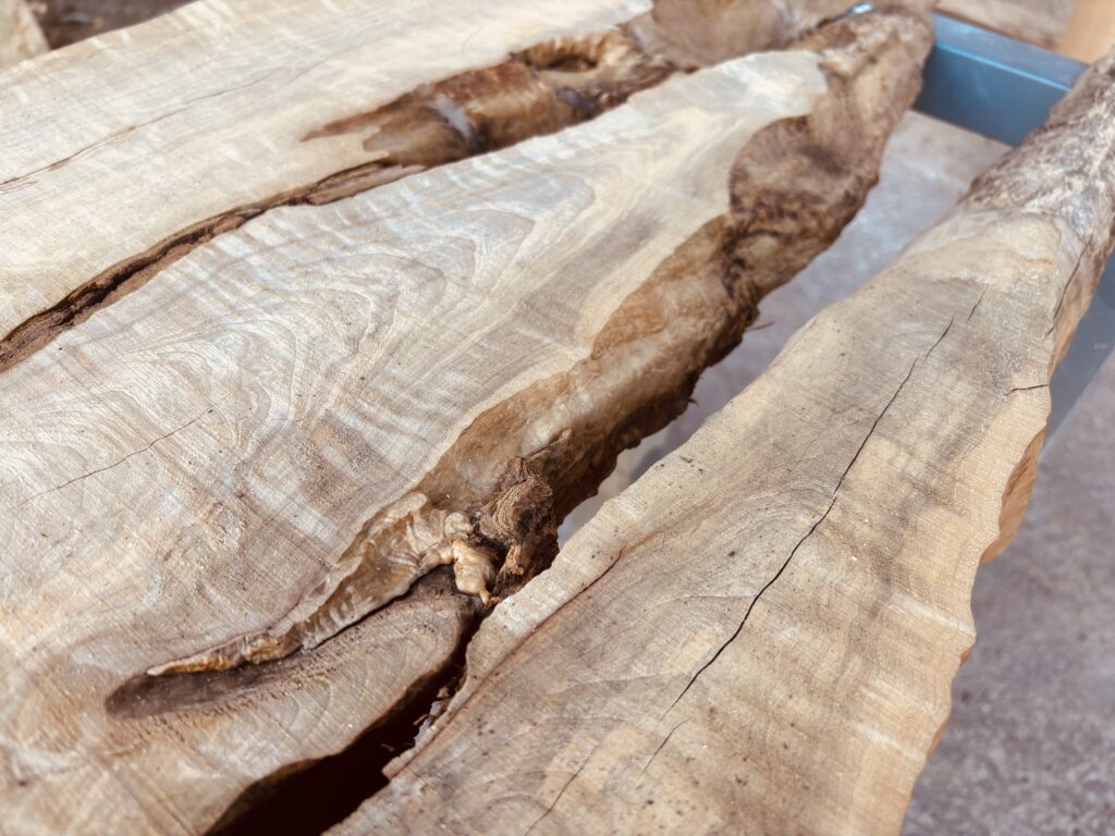 磨き前のカエデ（楓）の無垢板。自然に生じた割れと、光の加減で確認できる縮緬杢（カーリー杢）が現れ始めている状態。