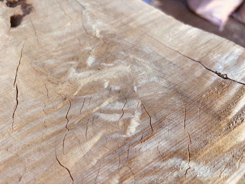 耳付き部分と縮緬杢が確認できるカエデ無垢板の端部。自然な形状を活かしたレジンテーブル素材。