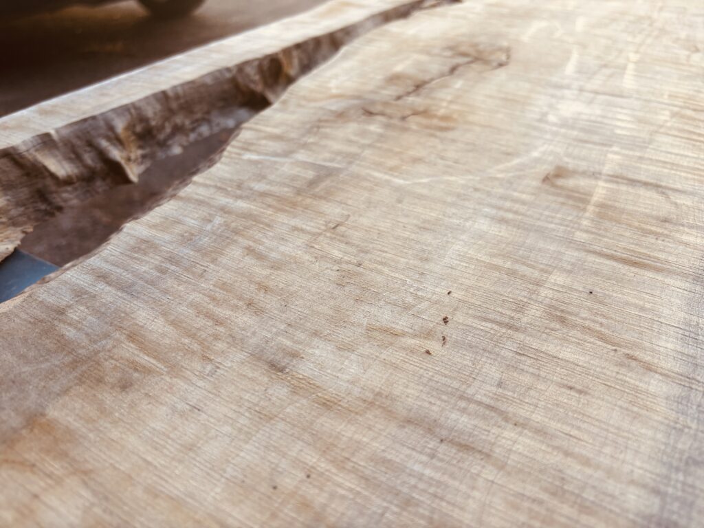 磨き前のカエデ無垢板に現れ始めた縮緬杢（カーリー杢）。研磨によって強く表情が出る部分。