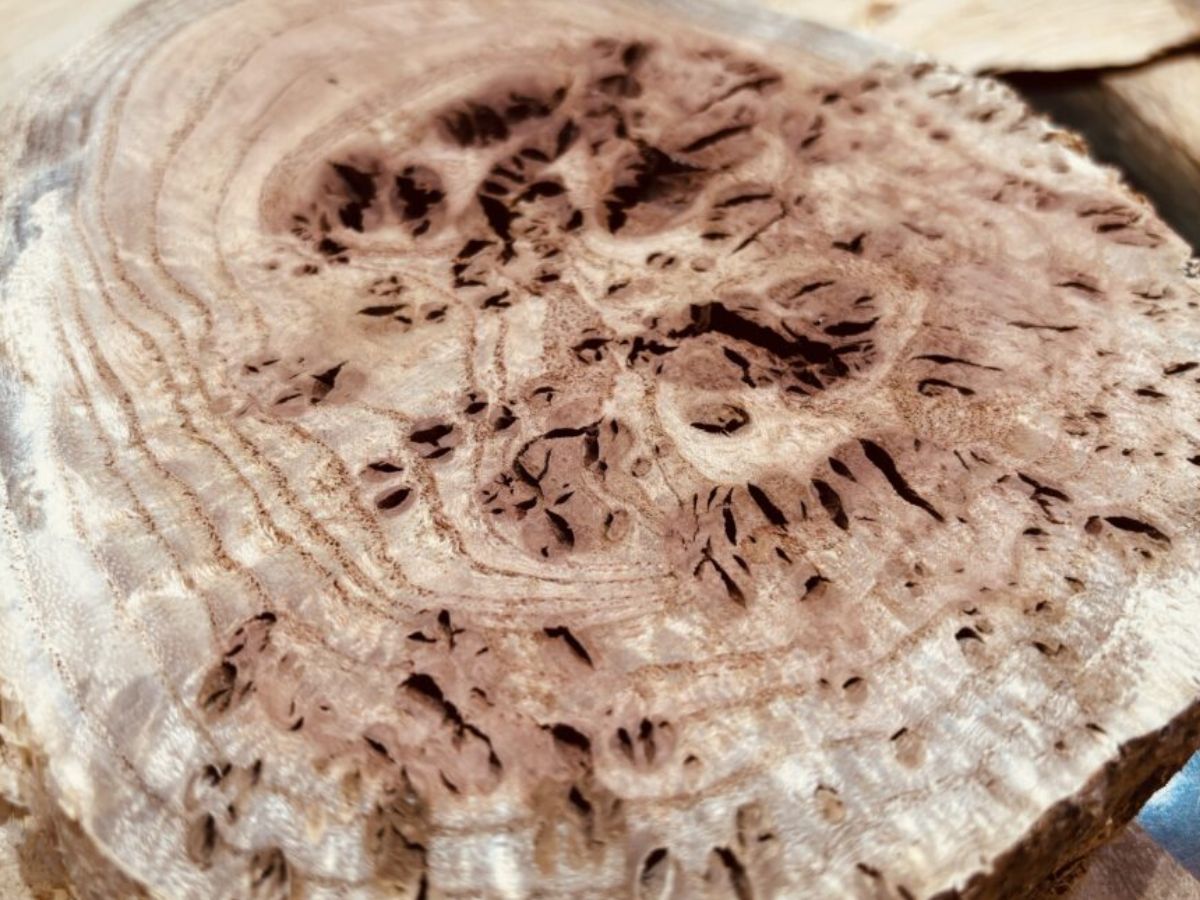 センダンのレジンテーブル｜軽やかな木目と透明感が映える無垢×レジン